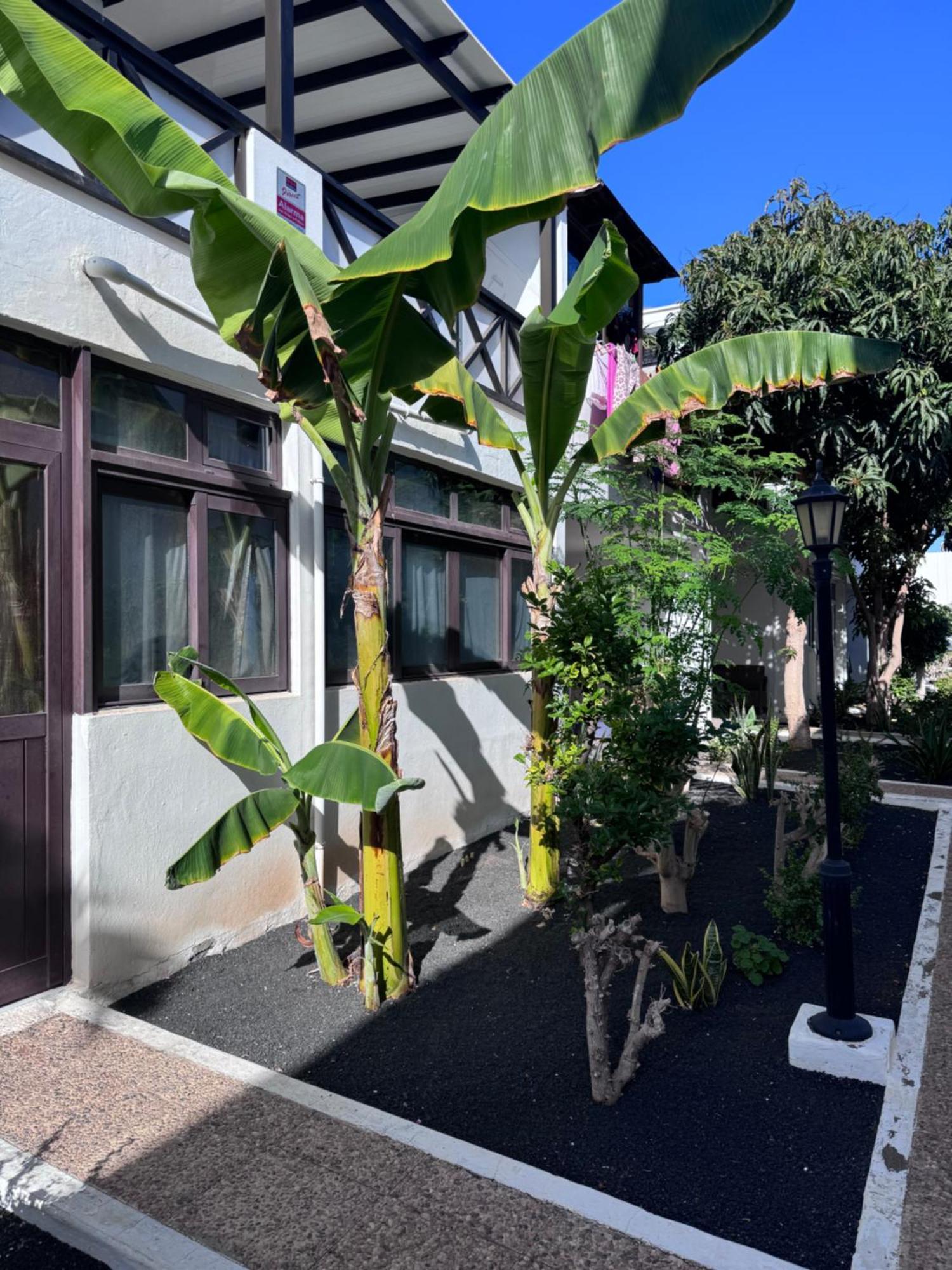 Appartamento Casa Ana Puerto Del Carmen Tías Esterno foto